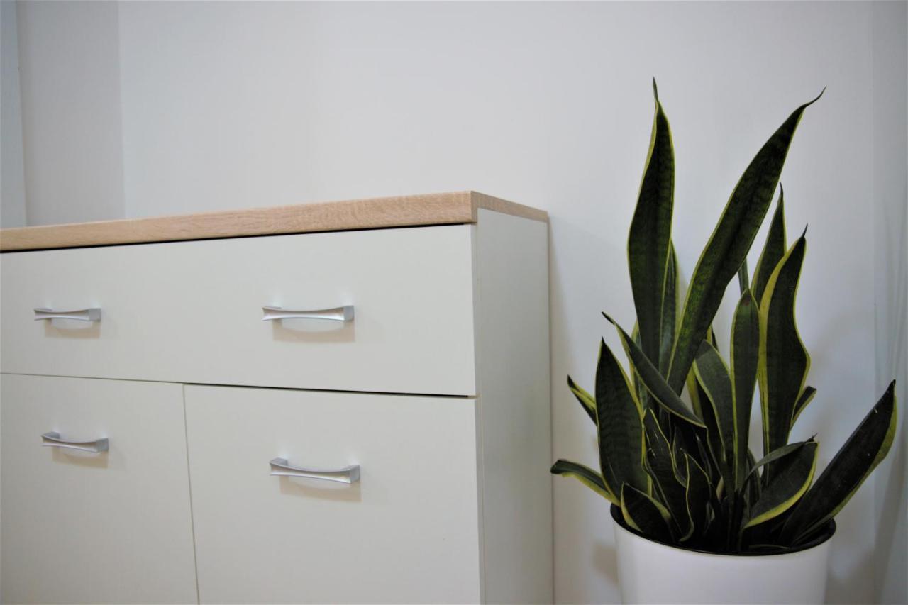 Central Modern Apt With Garden Струга Екстериор снимка